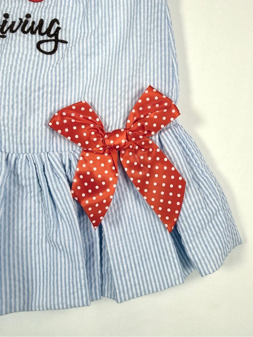 LIL CACTUS Girls 1st Thanksgiving Turkey Seersucker Dress Size 6-12M Boutique